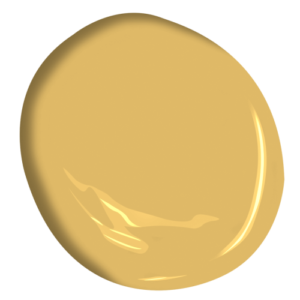 couleur Glaieul